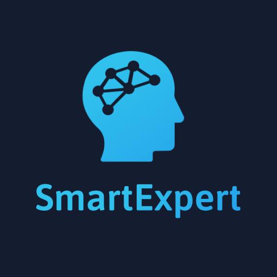 SmartExpert Logo